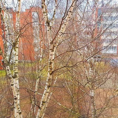 Birch View Apartment 叶尔加瓦 外观 照片