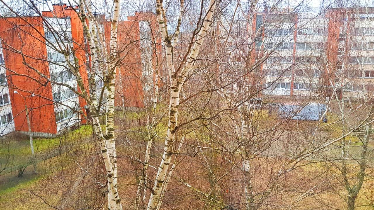 Birch View Apartment 叶尔加瓦 外观 照片